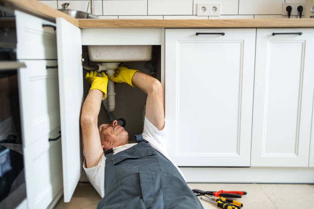 Best Plumbing Inspection Services  in La Habra, CA